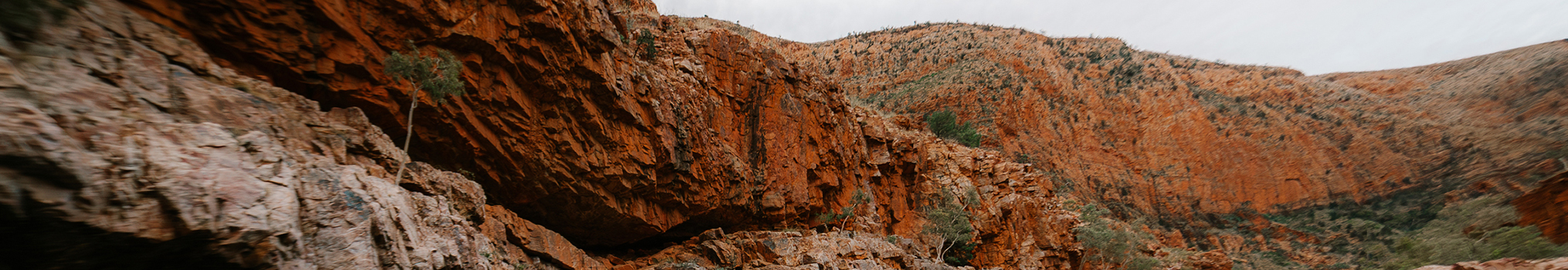Alice Springs Outback Cultural Experience Tours