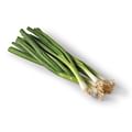 green onions bunch