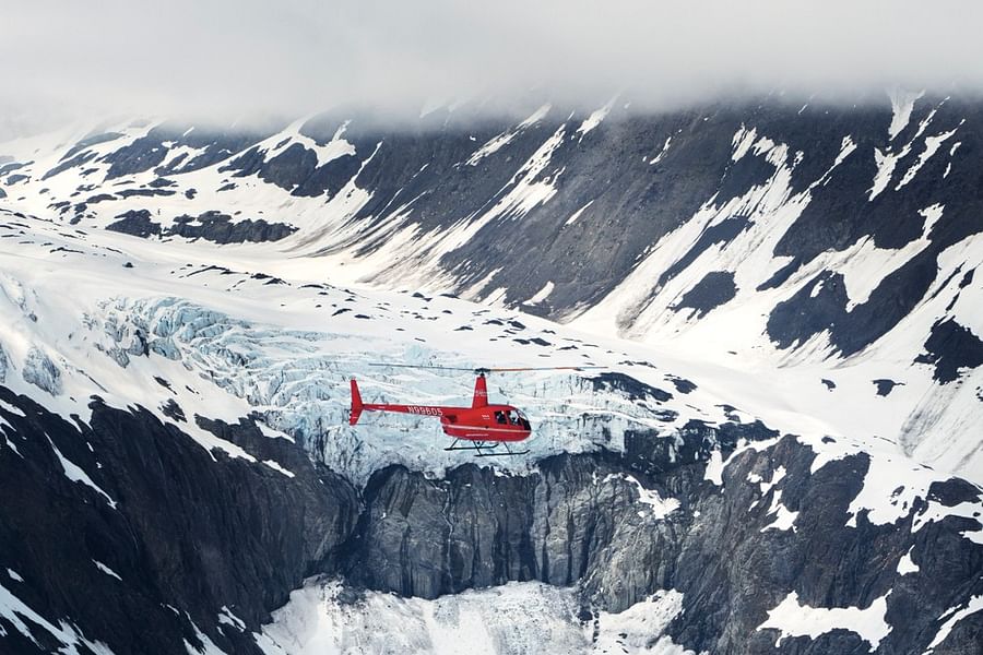Alaska's Finest Tours & Cruises whale watching