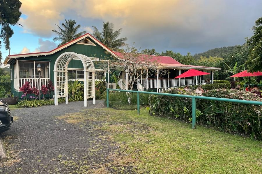 Postcards CafΓ© Kauai Seared Ahi