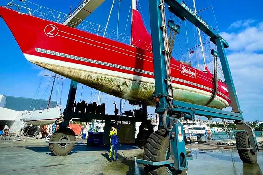 Marine conservation sailing Devonport