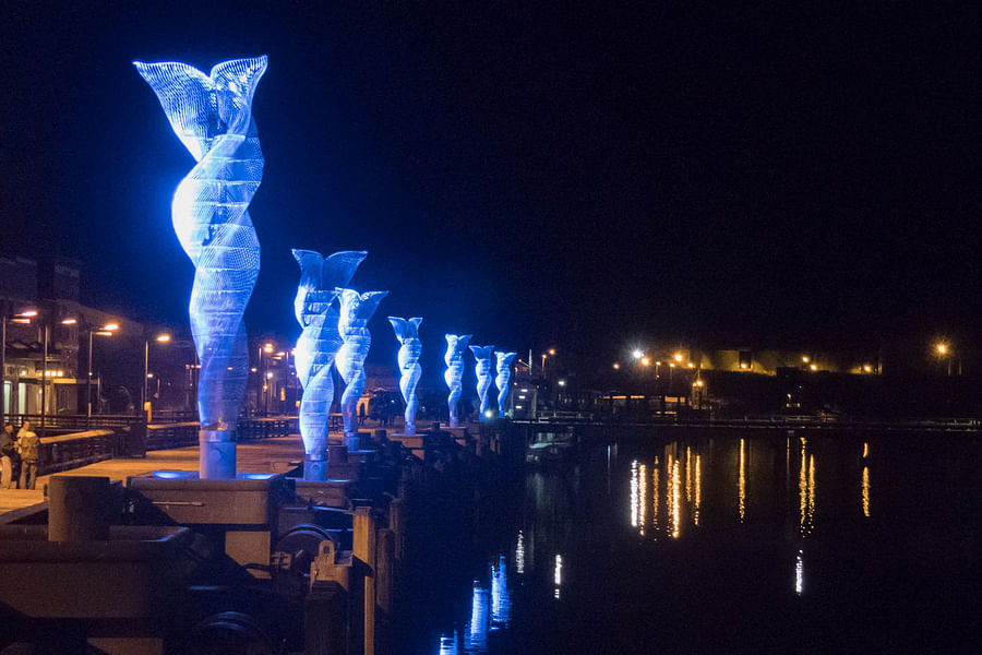 Juneau Arts & Humanities Council gallery