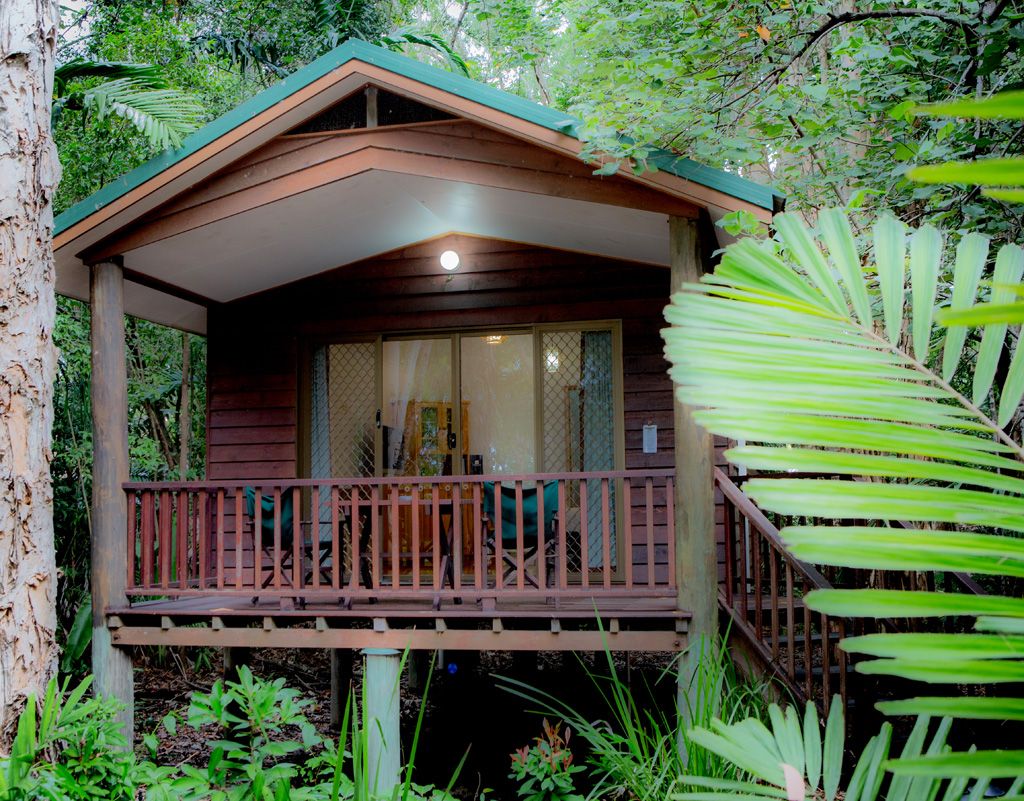 rainforest treetop bungalow Juneau