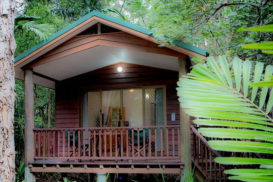 rainforest treetop bungalow Juneau