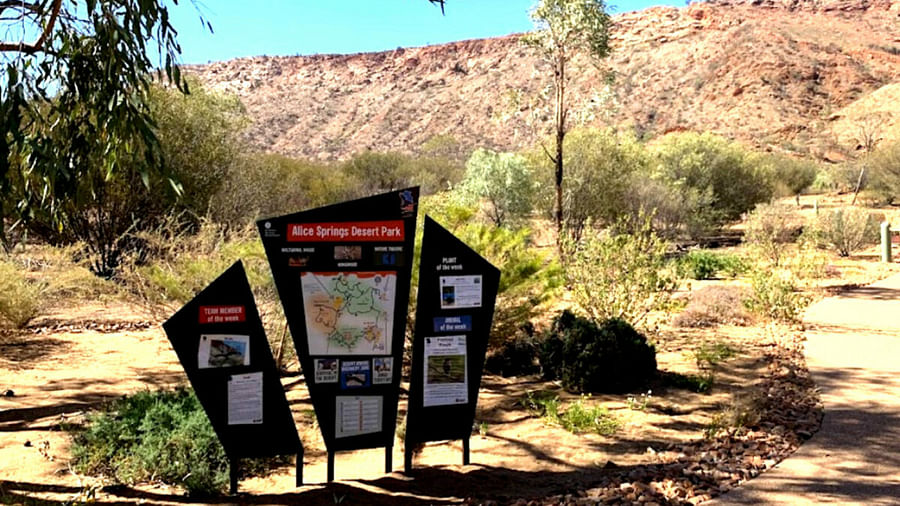 Panoramic view of the red desert landscape in Alice Springs, Australia