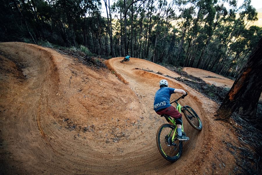 Thrill-seeker mountain biking on a challenging trail in Latrobe, Tasmania