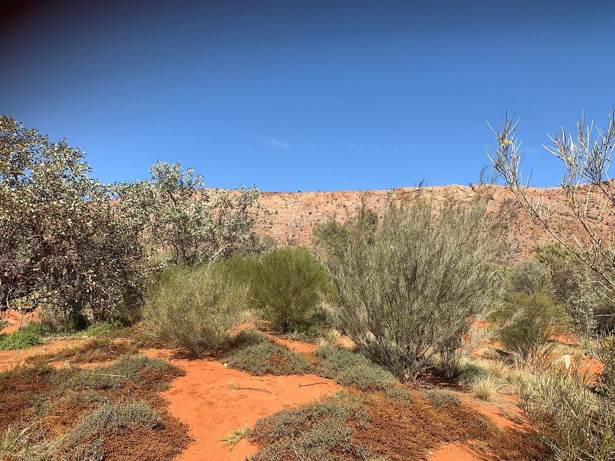 Scenic view of Alice Springs town nestled in Australian bushland